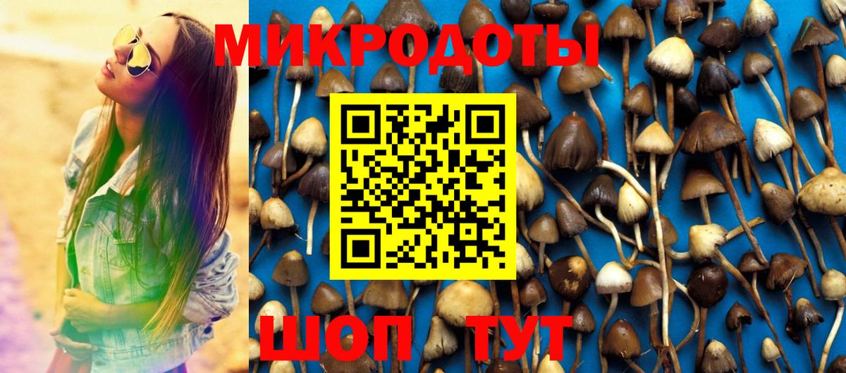 Сунжа  Галлюциногенные грибы Magic Shrooms  Галлюциногенные грибы мицелий  Вход с VPN 
